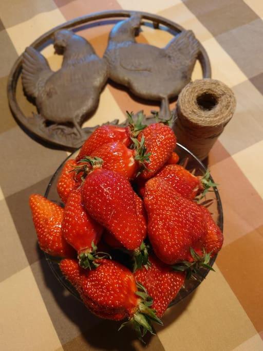 Entre Pierre Et Vigne - Charming Former Winery Farmhouse With Hot Tub & Swimming Pool Monestier  Eksteriør billede